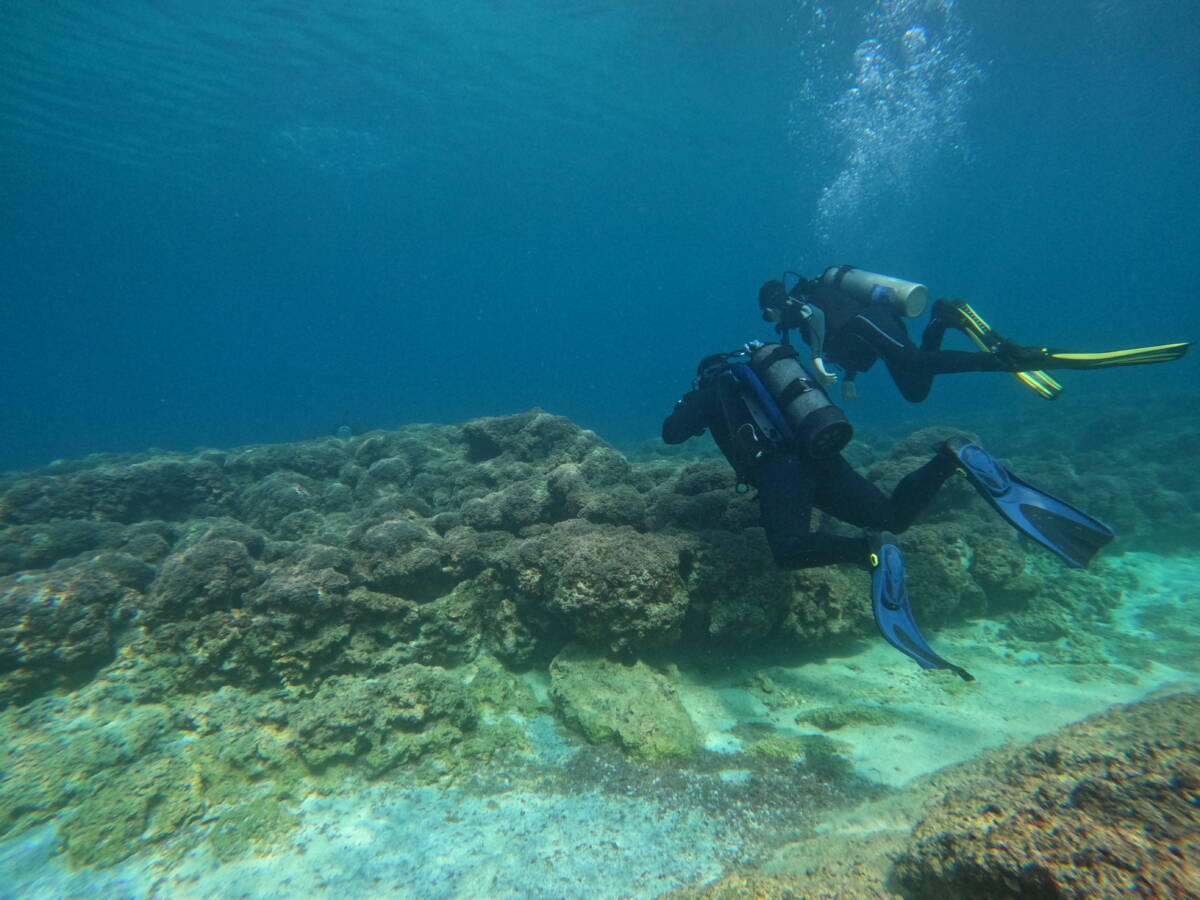 Try Scuba Diving / Shore - Image 2